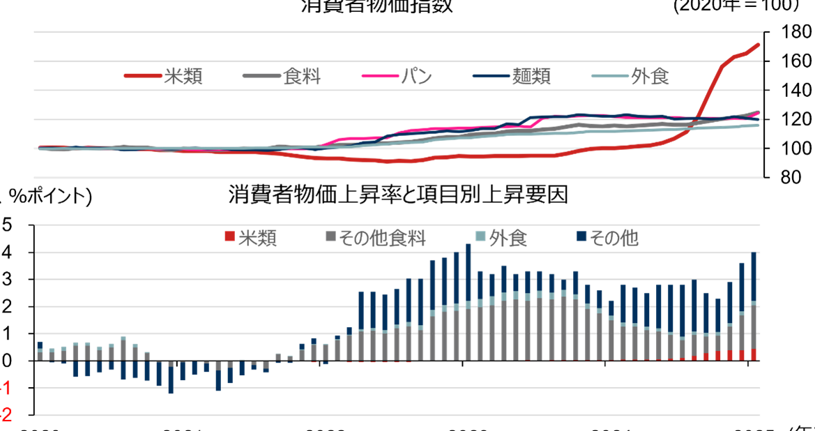 米 価格 いつ下がるのか最新情報と予測分析